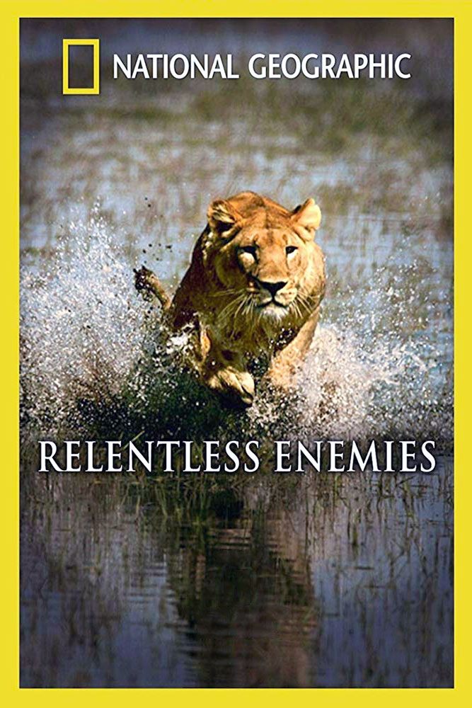Постер Relentless Enemies: Lions and Buffalo